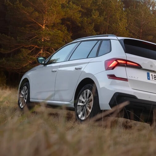 Imagen Skoda 1