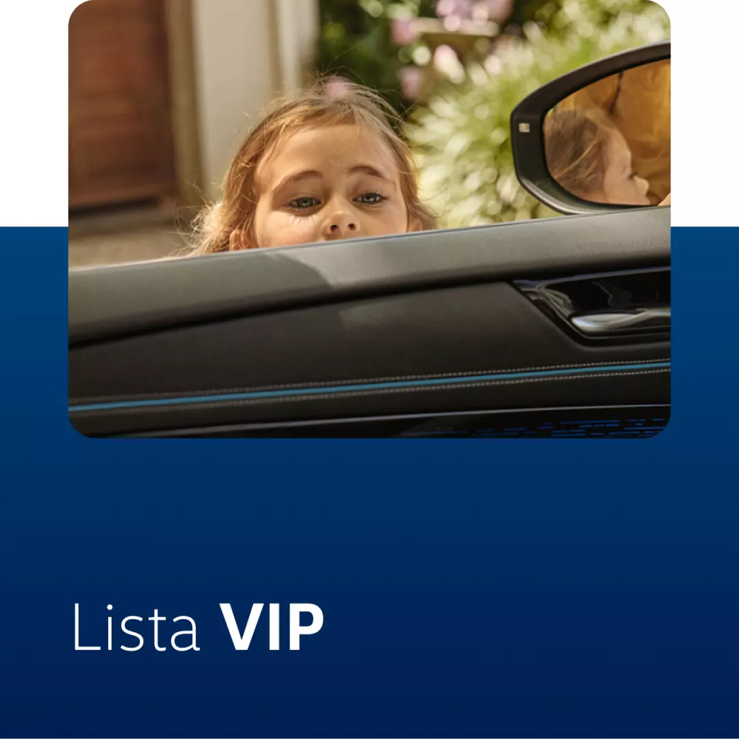 vip Volkswagen